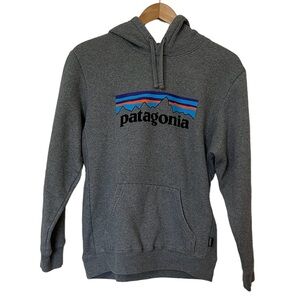 Patagonia Gray Hoodie with Blue and Purple Accents